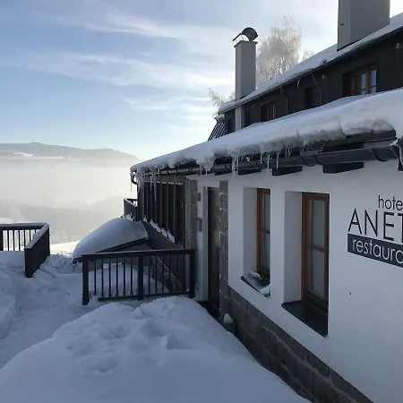 فندق Aneta & Restaurant 4*