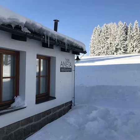 Aneta & Restaurant