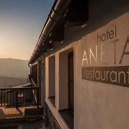 Aneta & Restaurant Hotel
