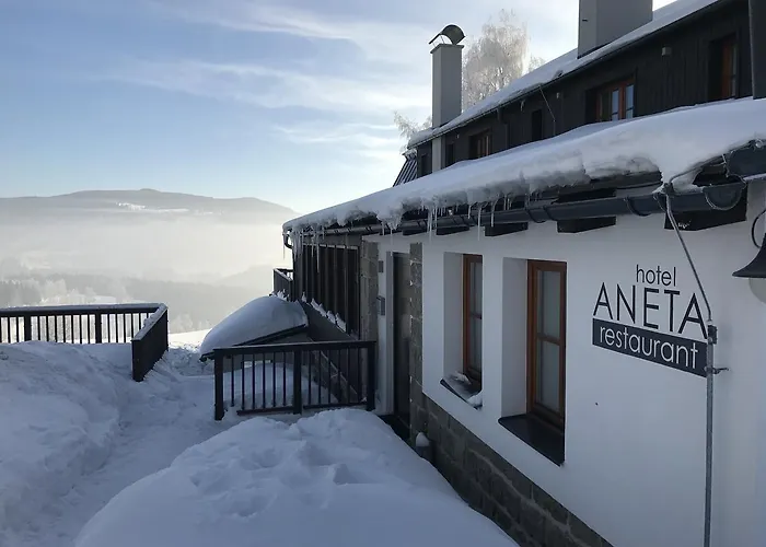 Szálloda Aneta & Restaurant 4*