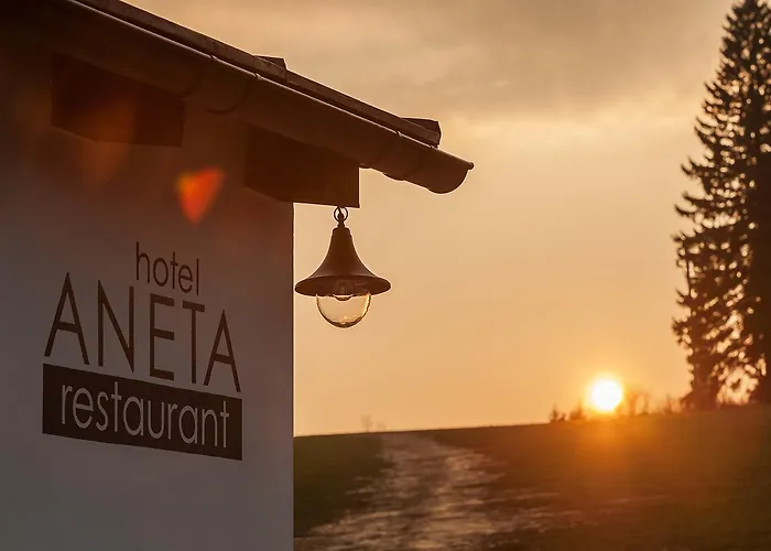 酒店 Aneta & Restaurant 4*