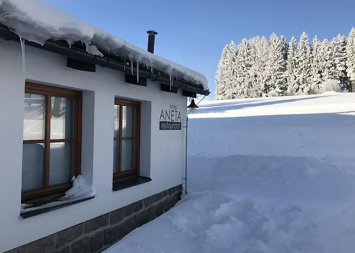 Aneta & Restaurant