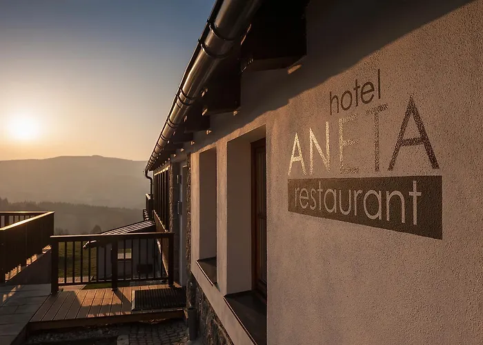 Aneta & Restaurant 酒店
